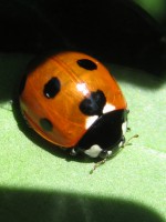 /album/fotogallerij/a2012-08-01-12-37-44-0071-jpg/